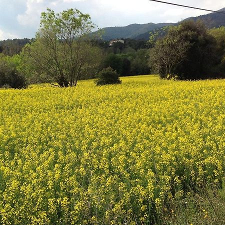 Casa Rural Can Panxa Sant Pere de Vilamajor Buitenkant foto
