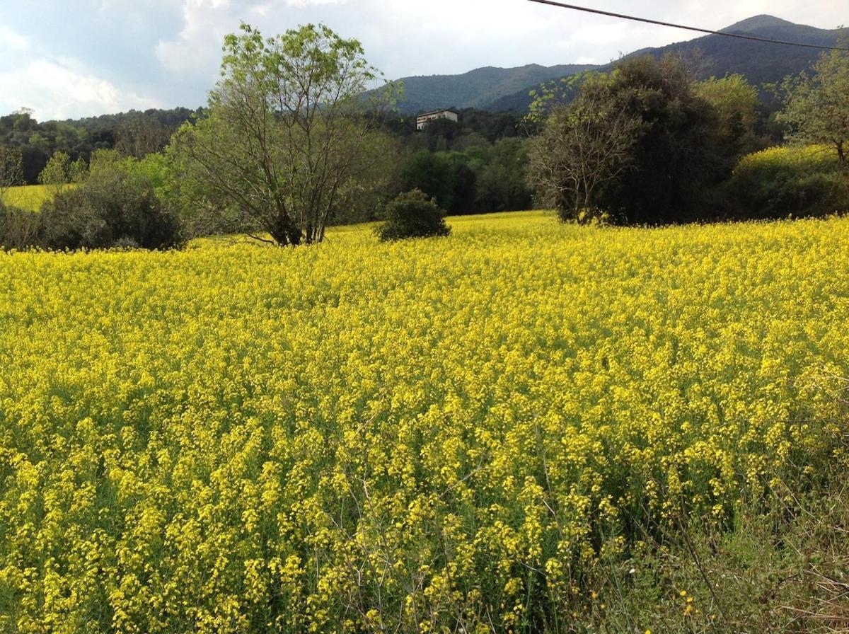 Casa Rural Can Panxa Sant Pere de Vilamajor Buitenkant foto